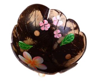 Coconut Shells Hand-painted Flowers Soap Dish Leaf Shape Jewelry Holder