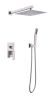 Silver thermostatic shower head