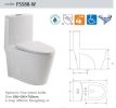 Dual Flush Elongated Standard One Piece Toilet with Comfortable Seat Height; Soft Close Seat Cover; High-Efficiency Supply; White Toilet