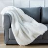 Cassilda Luxury Chinchilla Faux Fur Throw Blanket (50&quot; x 60&quot;)